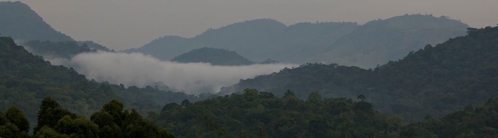 Silverback Lodge Buhoma Екстер'єр фото